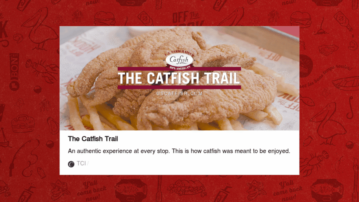 Catfish trails off the hook video