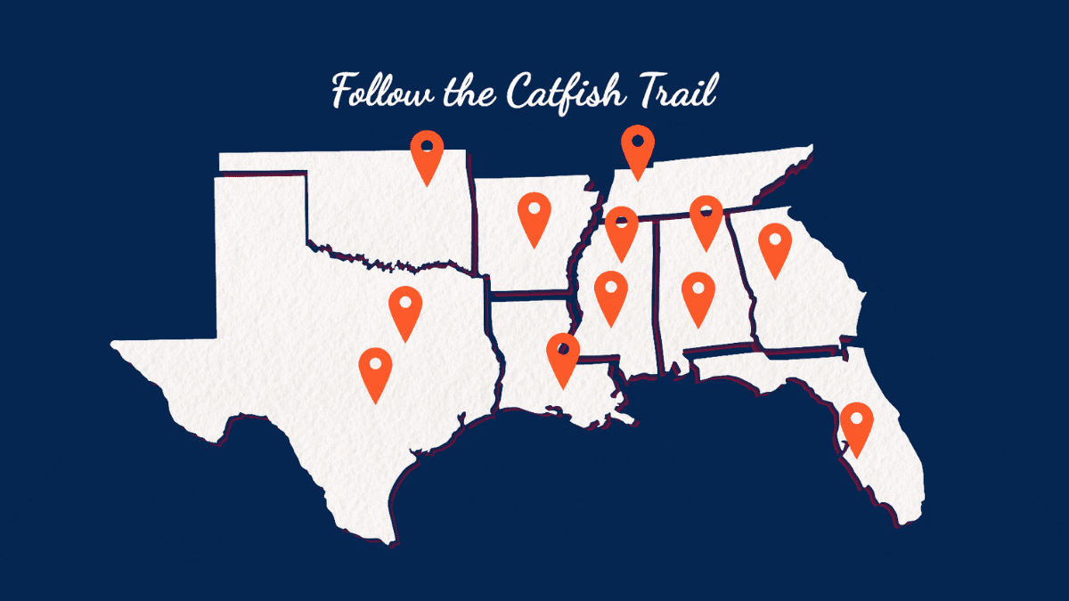 Catfish trails
